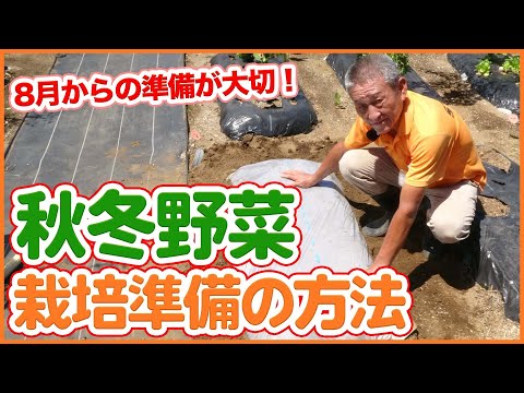  8月には何を植えますか？季節の主役野菜や花々にズームアップ！  庭園