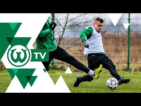 Sparing wewnętrzny Warty Poznań