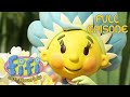 Fifi And The Flowertots Fifi Holds A Talent Show Full Episode
