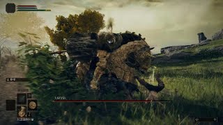 Re: [閒聊] 法環大樹守衛怎麼打= =？