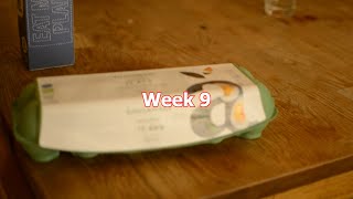 Bts week 9