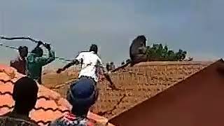 Download lagu Imfene yomthakathi ibanjwe1 mp3