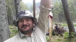 preview picture of video 'Kumrat valley trout fish hunting this season.'