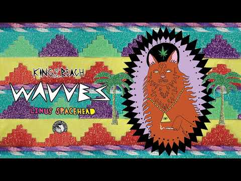 Linus Spacehead - Wavves