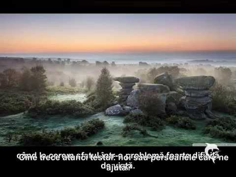 LIBERUL  ARBITRU,  BINELE  și  RĂUL  Partea  a  doua