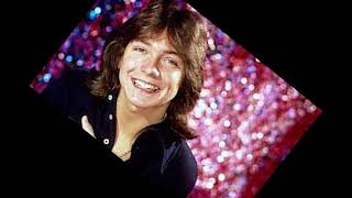 Summer Days   The Partridge Family Karaoke