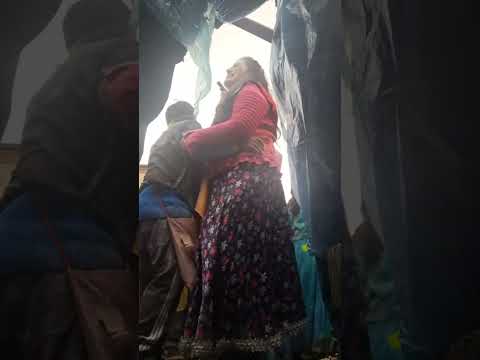 Orquesta de Putre , Carnaval 2026