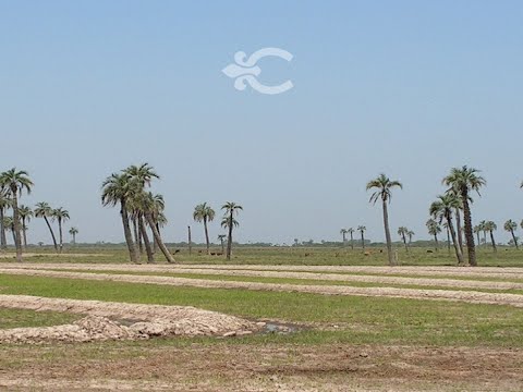 Video de YouTube - Campo en venta en Rocha ref. 4535