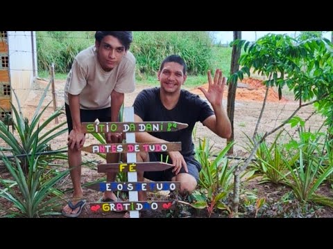  Surpresa no sítio em Peixe-boi/ colheita de manga. Parte final. 