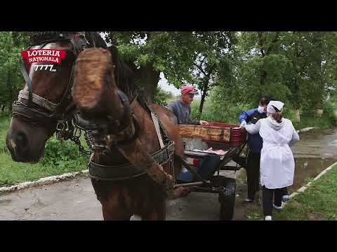 40 pensionari și invalizi din Corpaci vor primi alimente datorită NGM Company