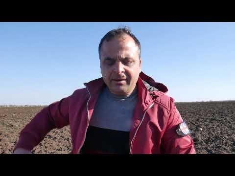 Distrugerea din Studina Olt