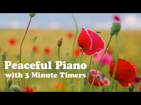 3 Minute Timer for Reiki and Yin Yoga with Peaceful Piano Music