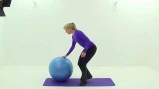 Pregnancy posture, pelvic floor exercises and using a birthing ball