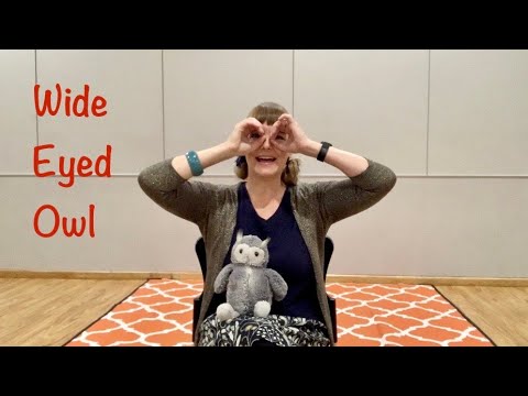 Wide eyed owl  l  preschool action song  l  owl song
