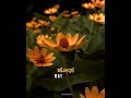 Naguva Nayana Song Whatsapp Status Video Kannada