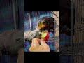 Eating apple so delicious.#animals #monkey #marmosets #happy #baby #like #live #like #cute #lovely