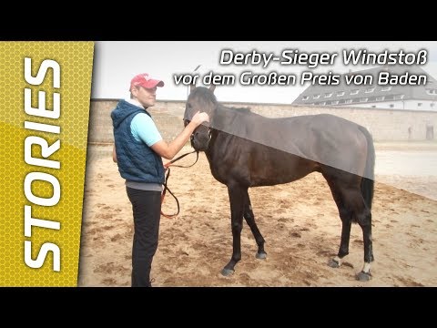 Windstoß vor dem Großen Preis von Baden 2017
