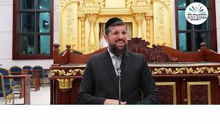 מלכת שבא, הבושם המסתורי | מלכים א | פרק י # 3 | הרב אליהו עמר (הרב אליהו עמר) - התמונה מוצגת ישירות מתוך אתר האינטרנט יוטיוב. זכויות היוצרים בתמונה שייכות ליוצרה. קישור קרדיט למקור התוכן נמצא בתוך דף הסרטון