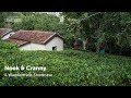 Nook And Cranny A Wandertrails Showcase