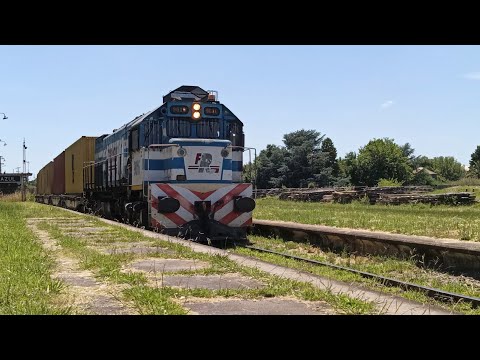 Tren N°105 a cargo de la EMD GT22CW 9016 por Azul 