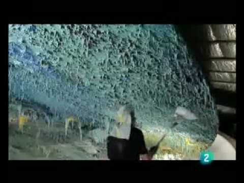 Miquel Barceló crée la Coupole de la salle de conférence XX du Palais des Nations à Genève