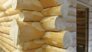 Timmerhus accommodation container for sale - Image 4 | Machineryline TZ Timmerhus accommodation container | Image 4 - Machineryline