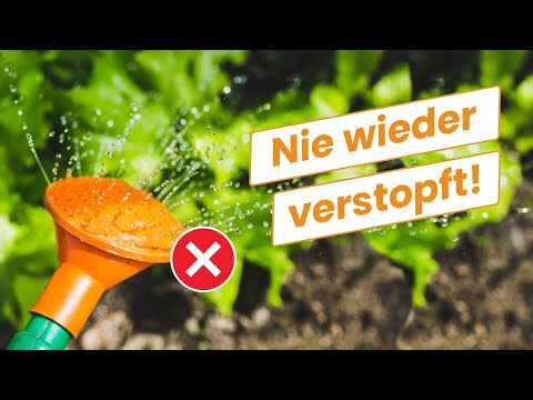 Watering can trick: How to keep the shower head clean (no more clogging)