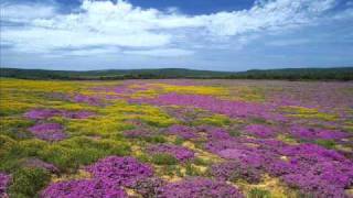 Camouflage - Love Is A Shield original version