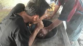 Gambar Kutu Busuk Bersarang Telinga Pria Taiwan Worldnews Ulat Didalam