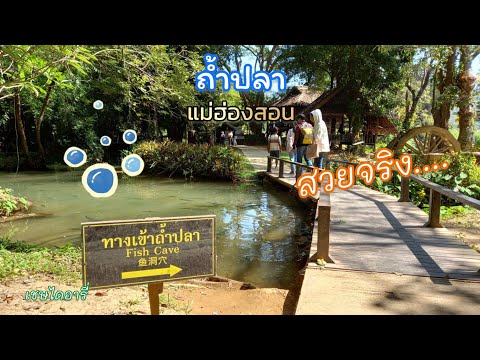 Tham Pla–Pha Suea National Park