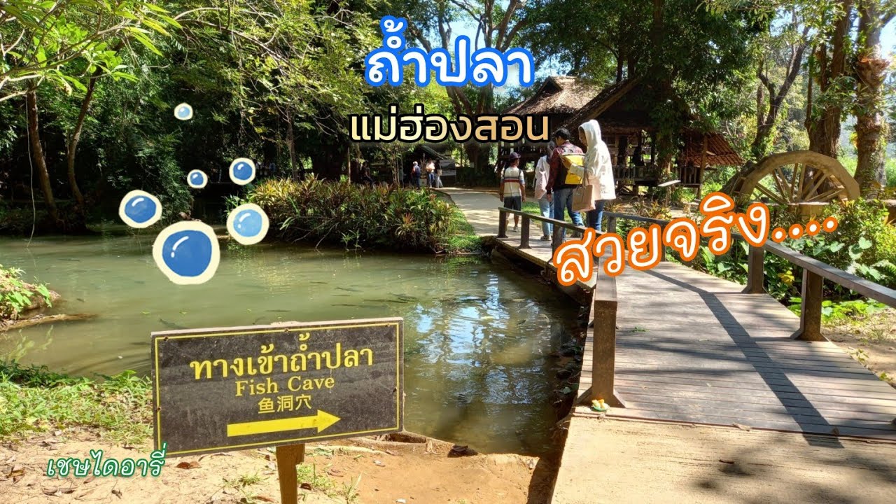 Tham Pla Pha Suea National Park