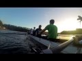 Mens Rowing Eight Crashes into Fallen Tree