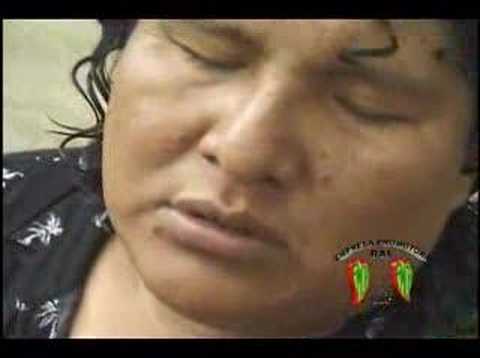 EL OSITO PARDO - ALICIA (video clip)