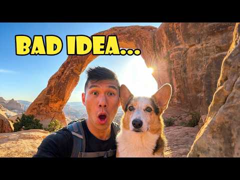 Everything Went Wrong With My CORGI || Life After College: Ep. 821