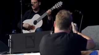 Sun Kil Moon - I Can't Live Without My Mother's Love (Live at Green Man Festival 2014)