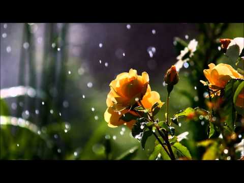 Braiman & Shersick - Luminary (Dan Stone Remix)