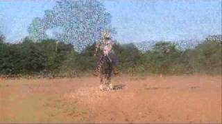 Blue Roan Reining Horse for Sale - Oklahoma