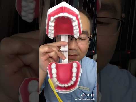 Modified Bass brushing technique video thumbnail