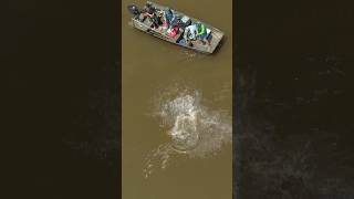 Download lagu Sight Fishing a River Monster mp3 Download lagu Sight Fishing a River Monster mp3