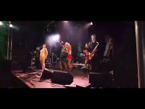 Hot Leggs Tina Turner tribute show – Nutbush City Limits live
