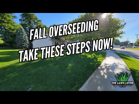 Overseeding Your Lawn This Fall? Do This NOW!