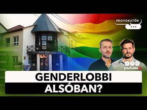 Kitiltották az Amnesty-t egy Verőcei általános iskolából | PROVOKATŐR