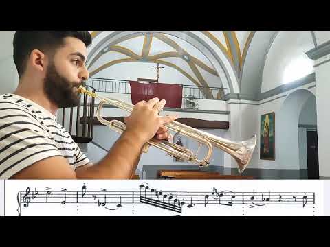 Vassily Brandt-Concertpiece n°1