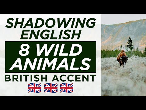 Speaking Practice: 8 Wild Animals — Shadowing British English