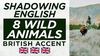 Speaking Practice: 8 Wild Animals — Shadowing British English