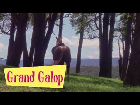 Grand Galop 117 - Le Cavalier sans tête | HD | Épisode Complet