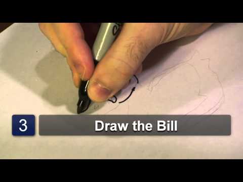 How to Draw a Rubber Ducky