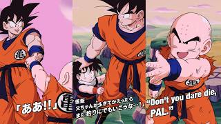 NEW VOW TO RETURN SUPPORT MEMORY ANIMATIONS! Dragon Ball Z Dokkan Battle