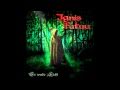 Ignis Fatuu - Spielmann 