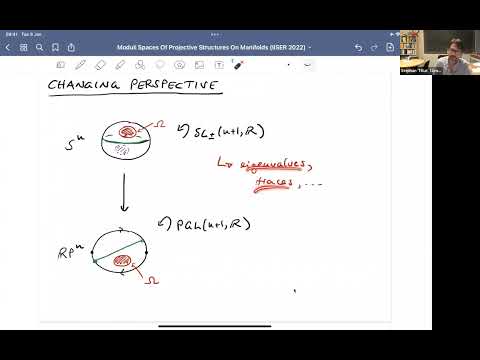 Moduli spaces of projective structures on manifolds by Prof  Stephan Tillmann